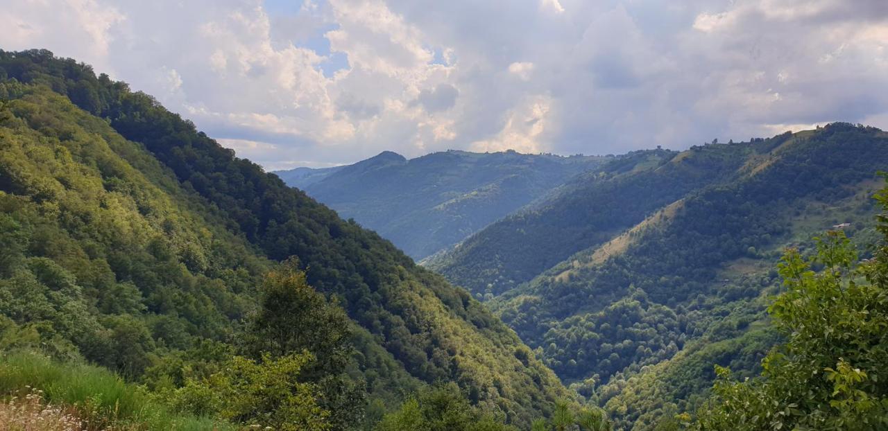 Pensiunea Petru Şugag Esterno foto