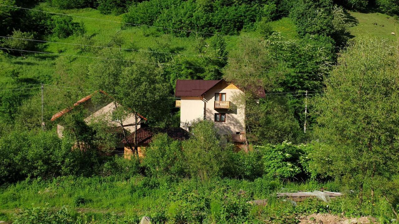 Pensiunea Petru Şugag Esterno foto